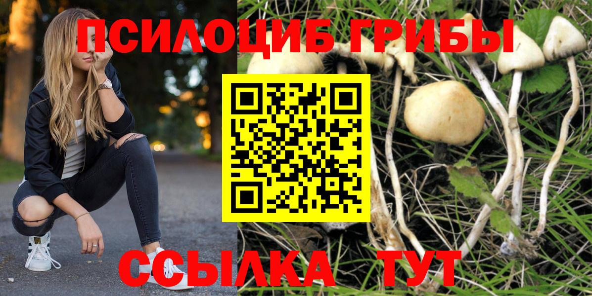 Кировск  Галлюциногенные грибы GOLDEN TEACHER  Вход с VPN  Псилоцибиновые грибы Cubensis 
