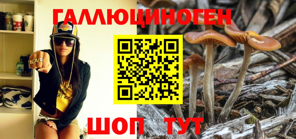 Псилоцибиновые грибы Cubensis Кировск